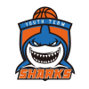 上海久事U17队标,上海久事U17图片