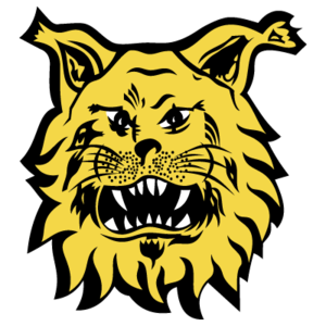 埃尔维斯B队队标,埃尔维斯B队图片