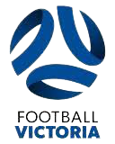 新兴体育会女足队标,新兴体育会女足图片