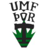 托尔队标,托尔图片