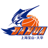 上海女篮U21队标,上海女篮U21图片