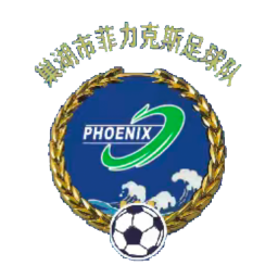 巢湖市队标,巢湖市图片